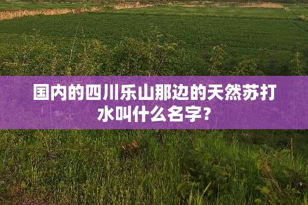 国内的四川乐山那边的天然苏打水叫什么名字？
