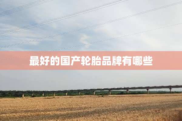最好的国产轮胎品牌有哪些