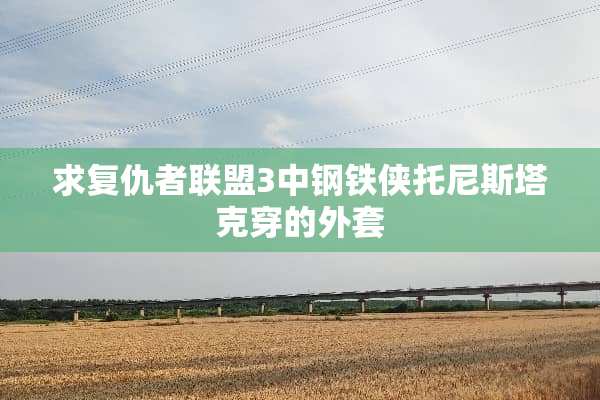 求复仇者联盟3中钢铁侠托尼斯塔克穿的外套