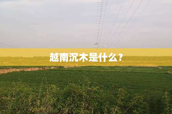 越南沉木是什么？