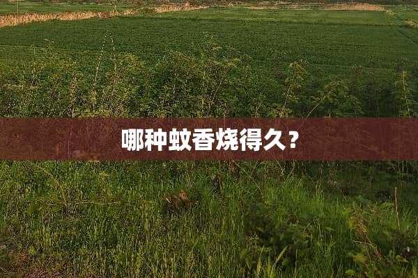 哪种蚊香烧得久？