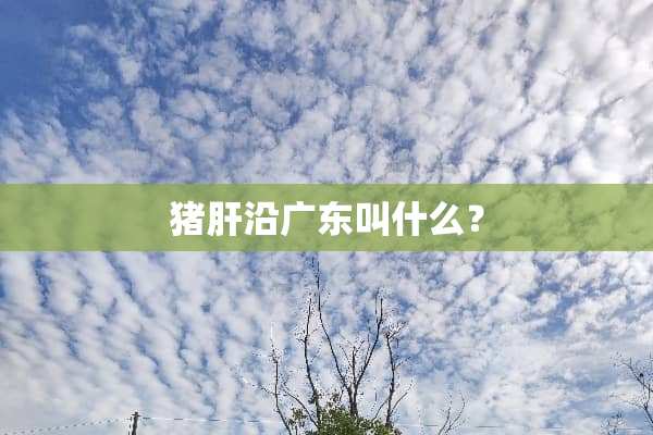猪肝沿广东叫什么？