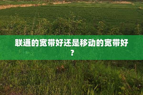 联通的宽带好还是移动的宽带好？