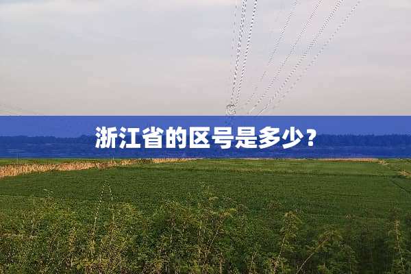 浙江省的区号是多少？