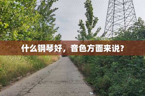 什么钢琴好，音色方面来说？