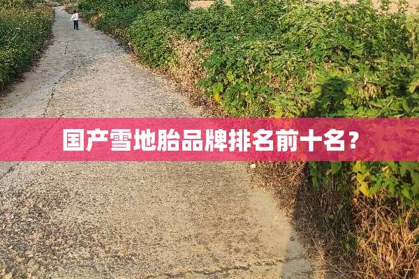 国产雪地胎品牌排名前十名？
