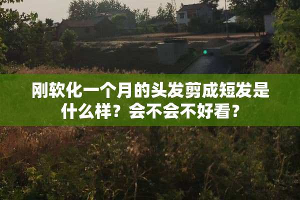 刚软化一个月的头发剪成短发是什么样？会不会不好看？