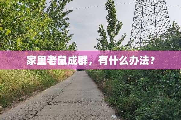 家里老鼠成群，有什么办法？