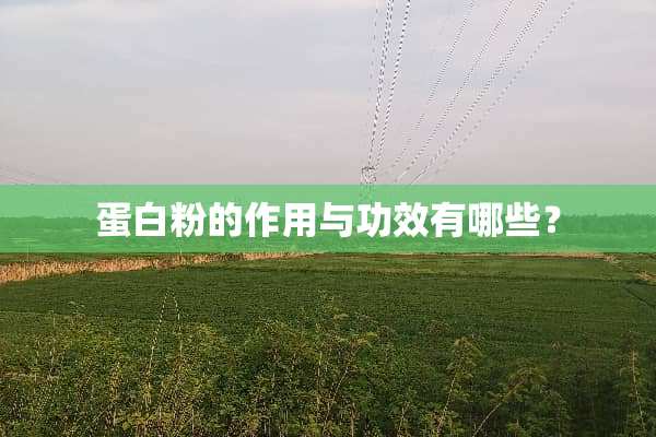 蛋**的作用与功效有哪些？