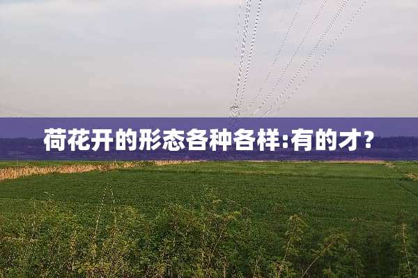 荷花开的形态各种各样:有的才？