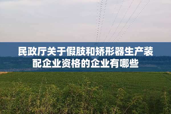 民政厅关于假肢和矫形器生产装配企业资格的企业有哪些