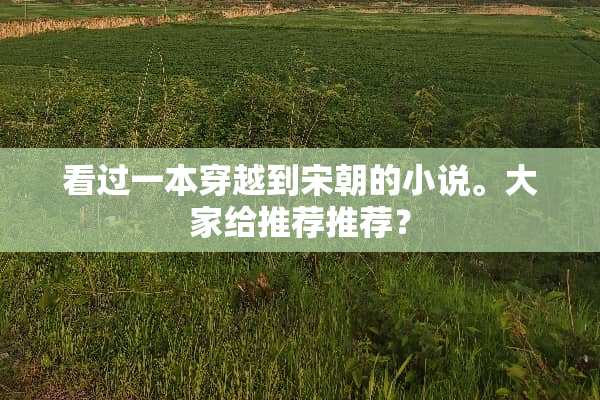 看过一本穿越到宋朝的小说。大家给推荐推荐？