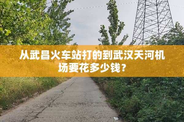 从武昌火车站打的到武汉天河机场要花多少钱？
