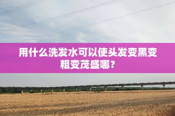 用什么洗发水可以使头发变黑变粗变茂盛哪？