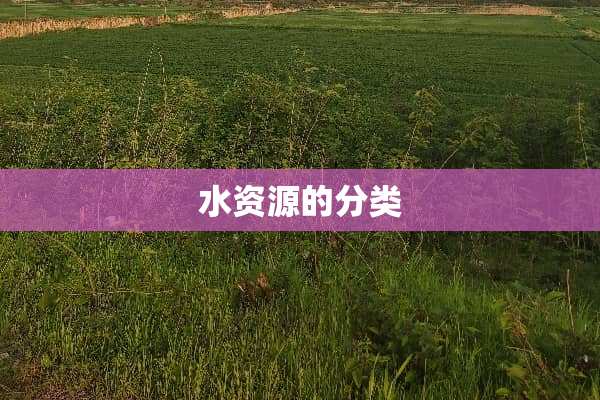 水资源的分类