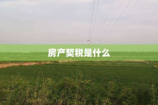 房产契税是什么