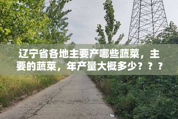 辽宁省各地主要产哪些蔬菜，主要的蔬菜，年产量大概多少？？？