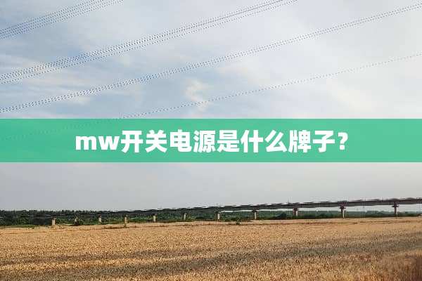 mw开关电源是什么牌子？