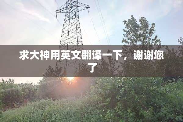 求大神用英文翻译一下，谢谢您了