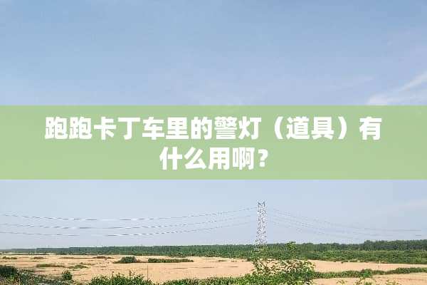 跑跑卡丁车里的警灯（道具）有什么用啊？
