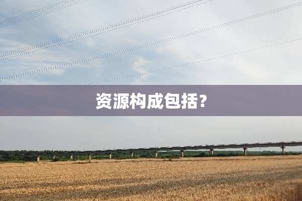 资源构成包括？