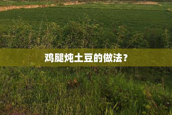 鸡腿炖土豆的做法？