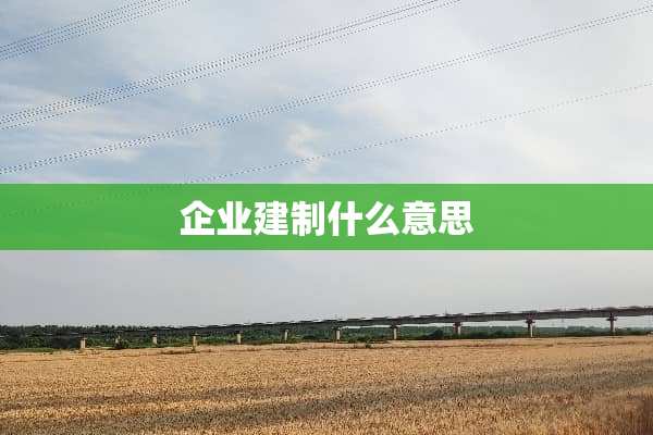 企业建制什么意思