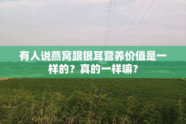 有人说燕窝跟银耳营养价值是一样的？真的一样嘛？