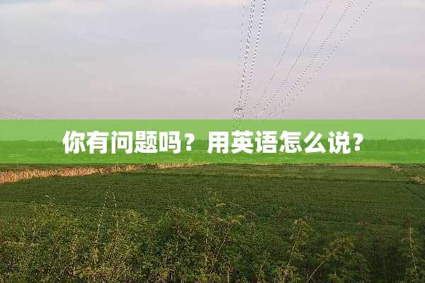 你有问题吗？用英语怎么说？