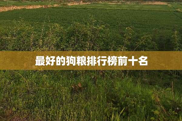 最好的狗粮排行榜前十名
