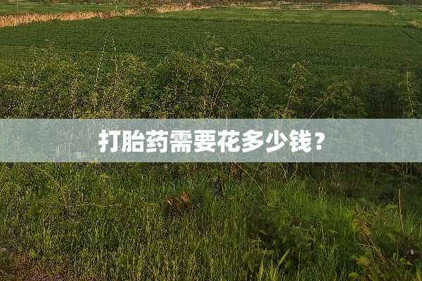 打胎药需要花多少钱？