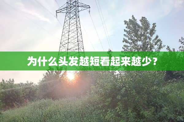 为什么头发越短看起来越少？