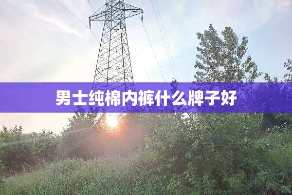 男士纯棉**什么牌子好