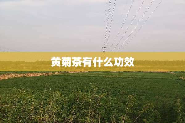 **茶有什么功效