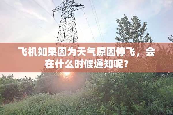 飞机如果因为天气原因停飞，会在什么时候通知呢？