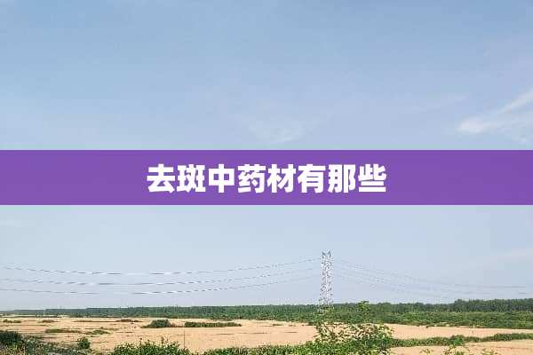 去斑中药材有那些