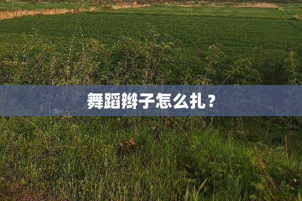 舞蹈辫子怎么扎？