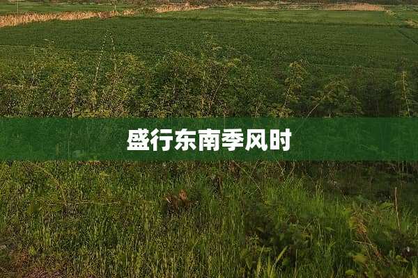 盛行东南季风时
