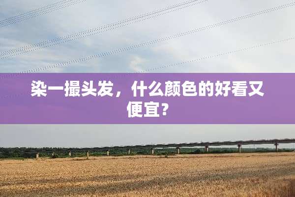 染一撮头发，什么颜色的好看又便宜？