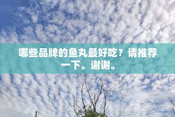 哪些品牌的鱼丸最好吃？请推荐一下。谢谢。