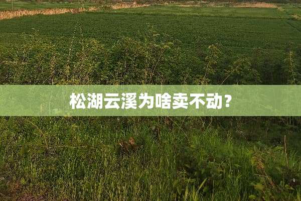 松湖云溪为啥卖不动？