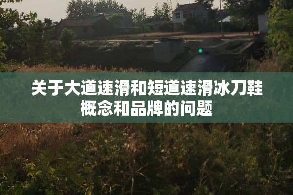 关于大道速滑和短道速滑冰刀鞋概念和品牌的问题