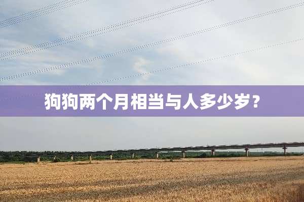 狗狗两个月相当与人多少岁？