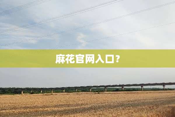 麻花官网入口？