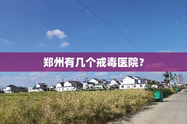 郑州有几个戒毒医院？