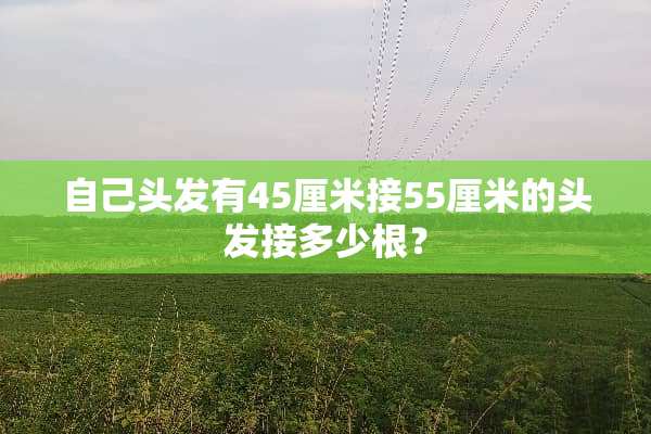 自己头发有45厘米接55厘米的头发接多少根？