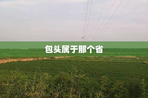 包头属于那个省