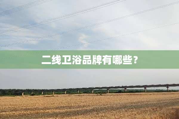 二线卫浴品牌有哪些？