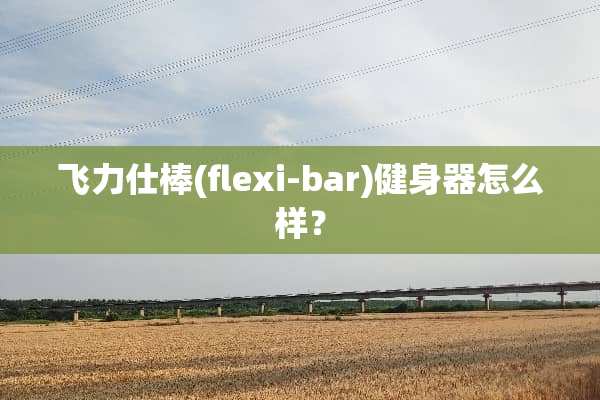 飞力仕棒(flexi-bar)健身器怎么样？
