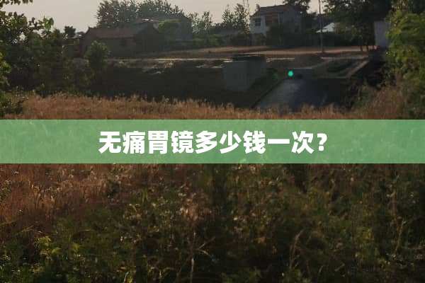 无痛胃镜多少钱一次？